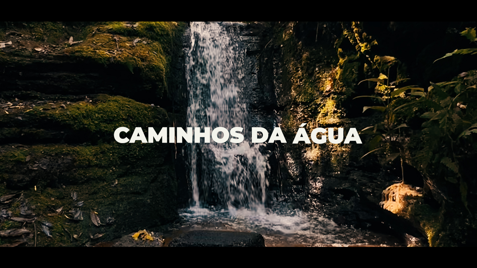 DIA MUNDIAL DA ÁGUA | Semae Lança O Documentário “Caminhos Da Água”