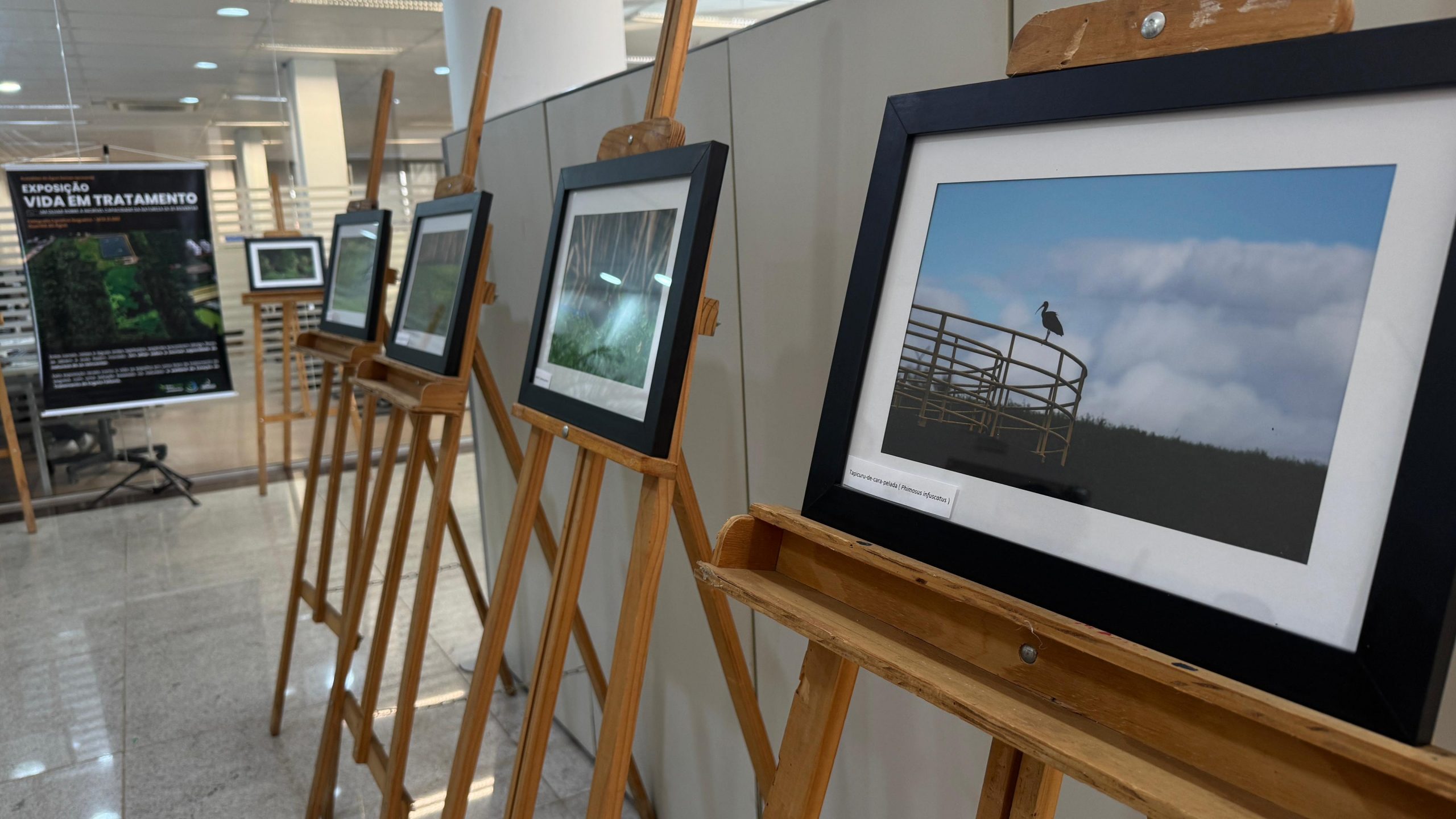 VIDA EM TRATAMENTO | Exposição De Fotografias Valoriza A Vida Na ETE-Feitoria